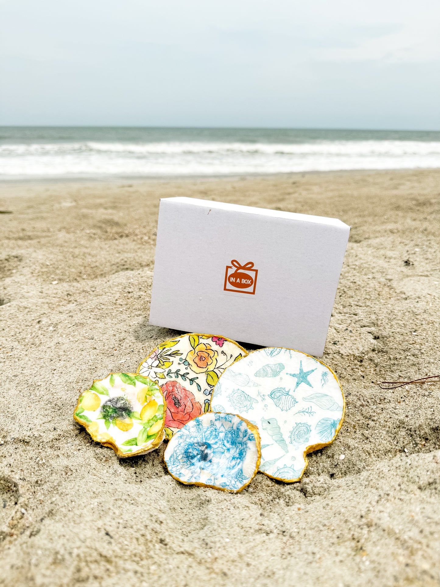 Seashell Dish In a Box